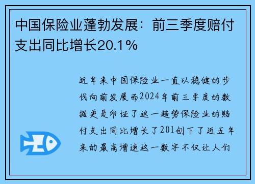 中国保险业蓬勃发展：前三季度赔付支出同比增长20.1%